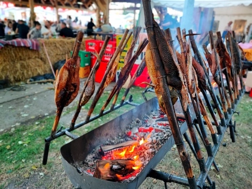 Šaran u rašljama - Turistički vodič Vinkovci